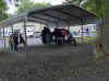 Shelter at Talbot Honda on Sunday, May 15