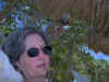 RC 077.jpg (531616 bytes)